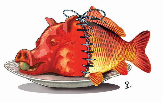 Посна једино декларација на омоту робе